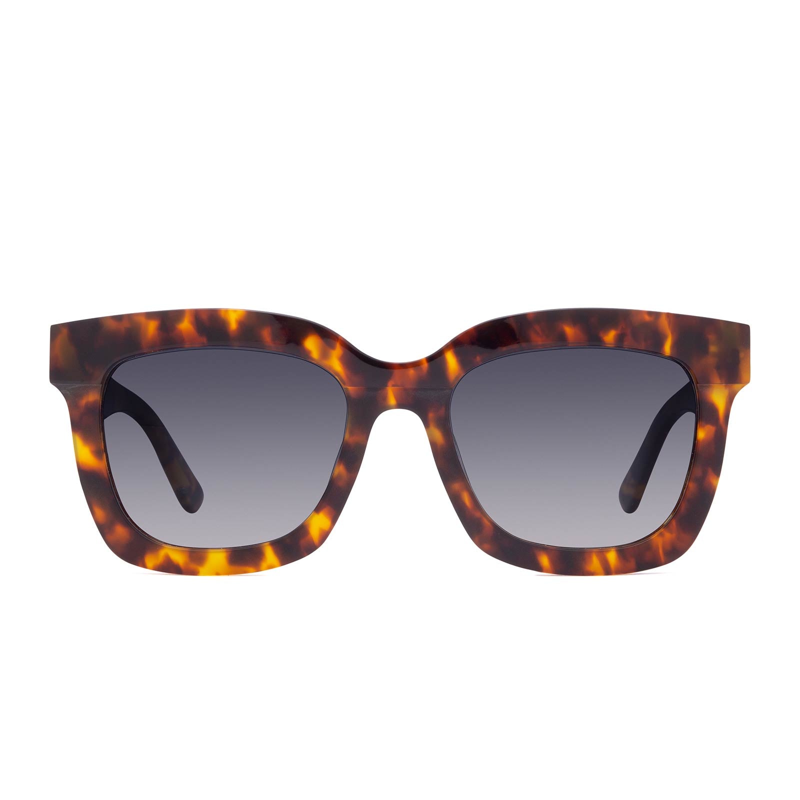 Carson Square Amber Tortoise + Blue Steel Sunglasses - MTT Collective