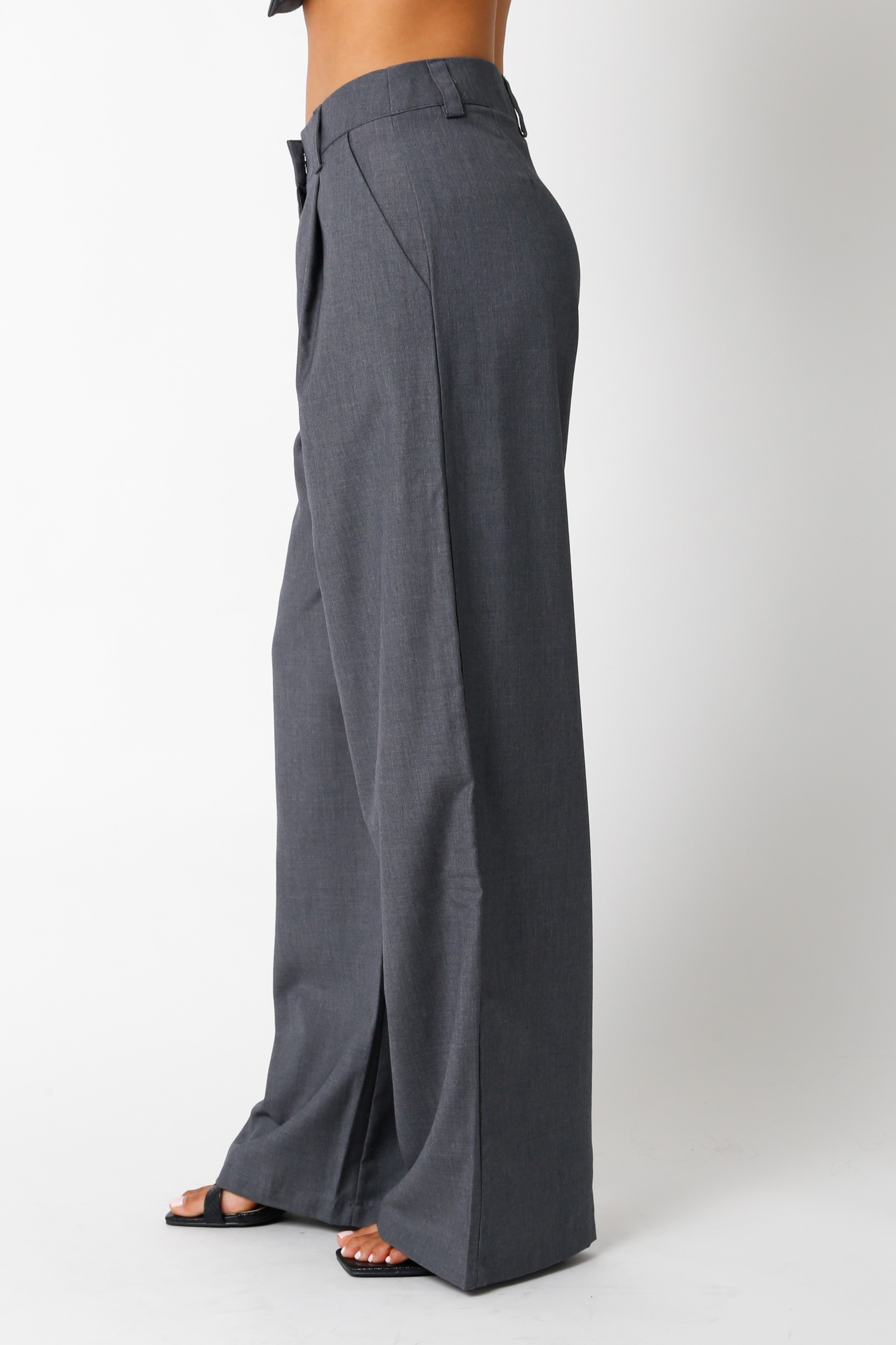 Gray wide-leg pants worn by a person on a white background