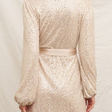 Serena Sequin Wrap Mini Dress