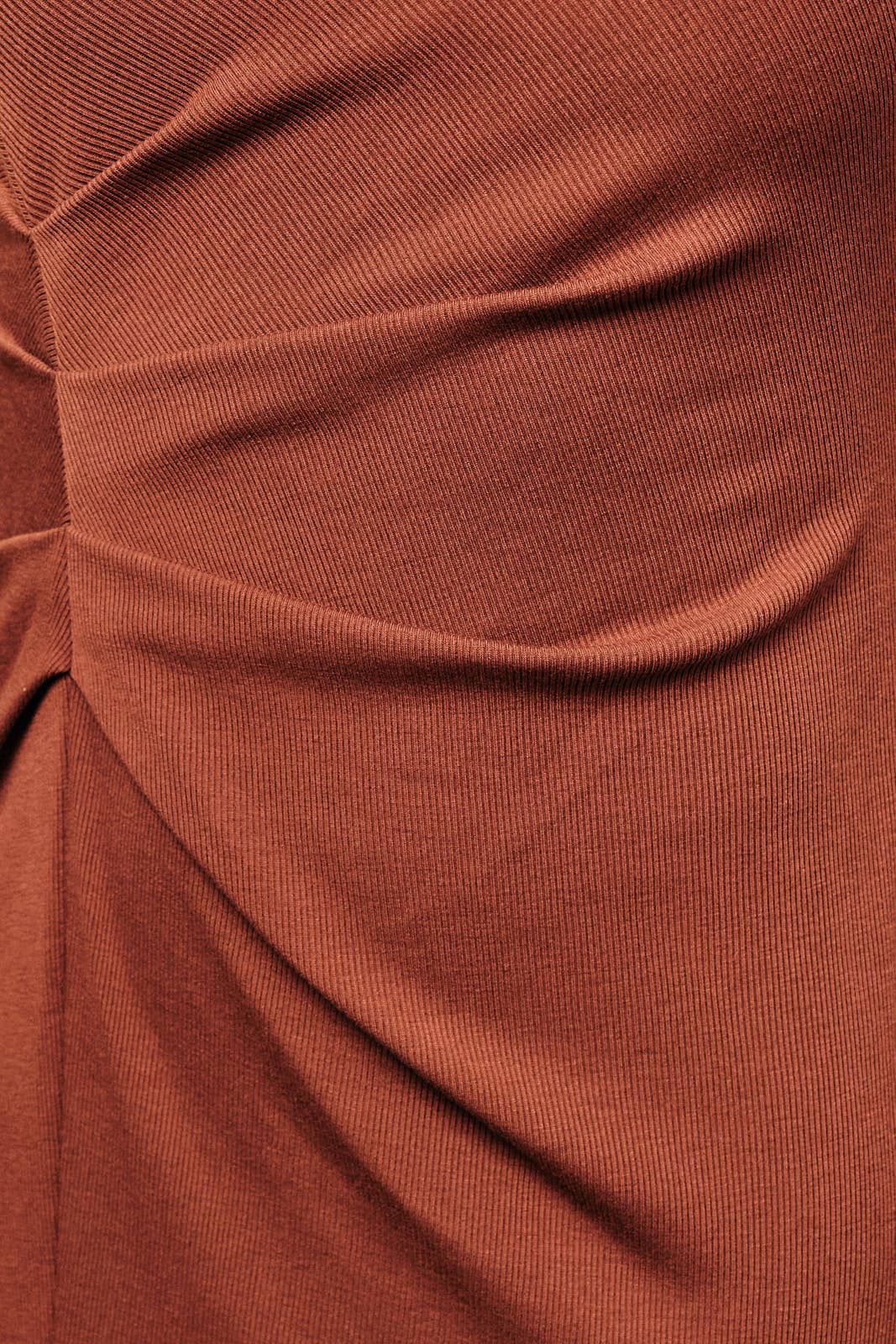 Hearth Pleated Midi Dress in Brick, back view