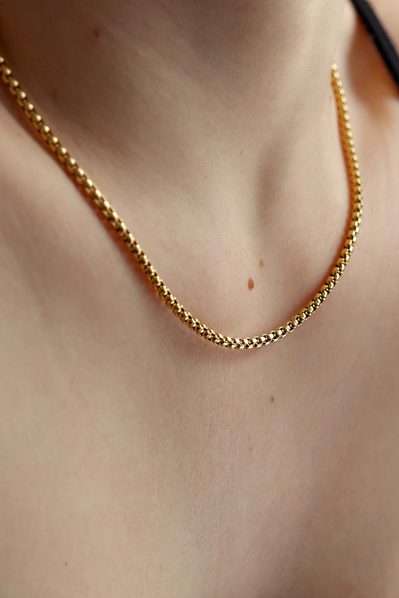 MTT Jewelry - Jewelry - Necklaces - Rory Rounded Box Chain - MTT Collective