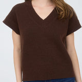 Maeve V-Neck Knit Sweater Vest