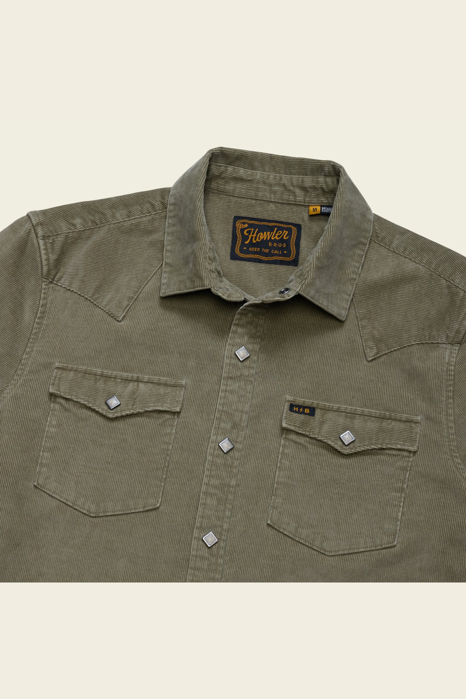 Banning Corduroy Snapshirt in Aloe, angle