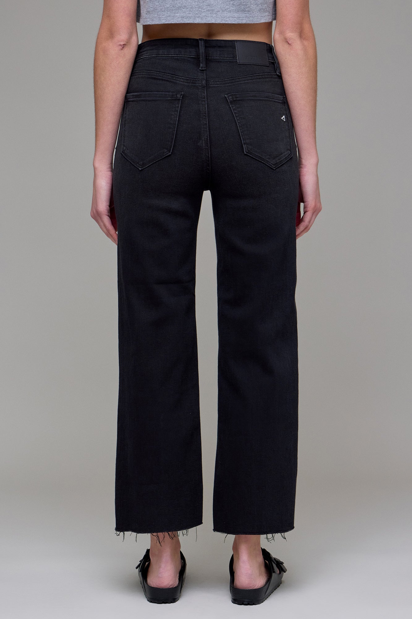 Hidden Jeans Tracey High Waist Wide Straight Jean - Black - back