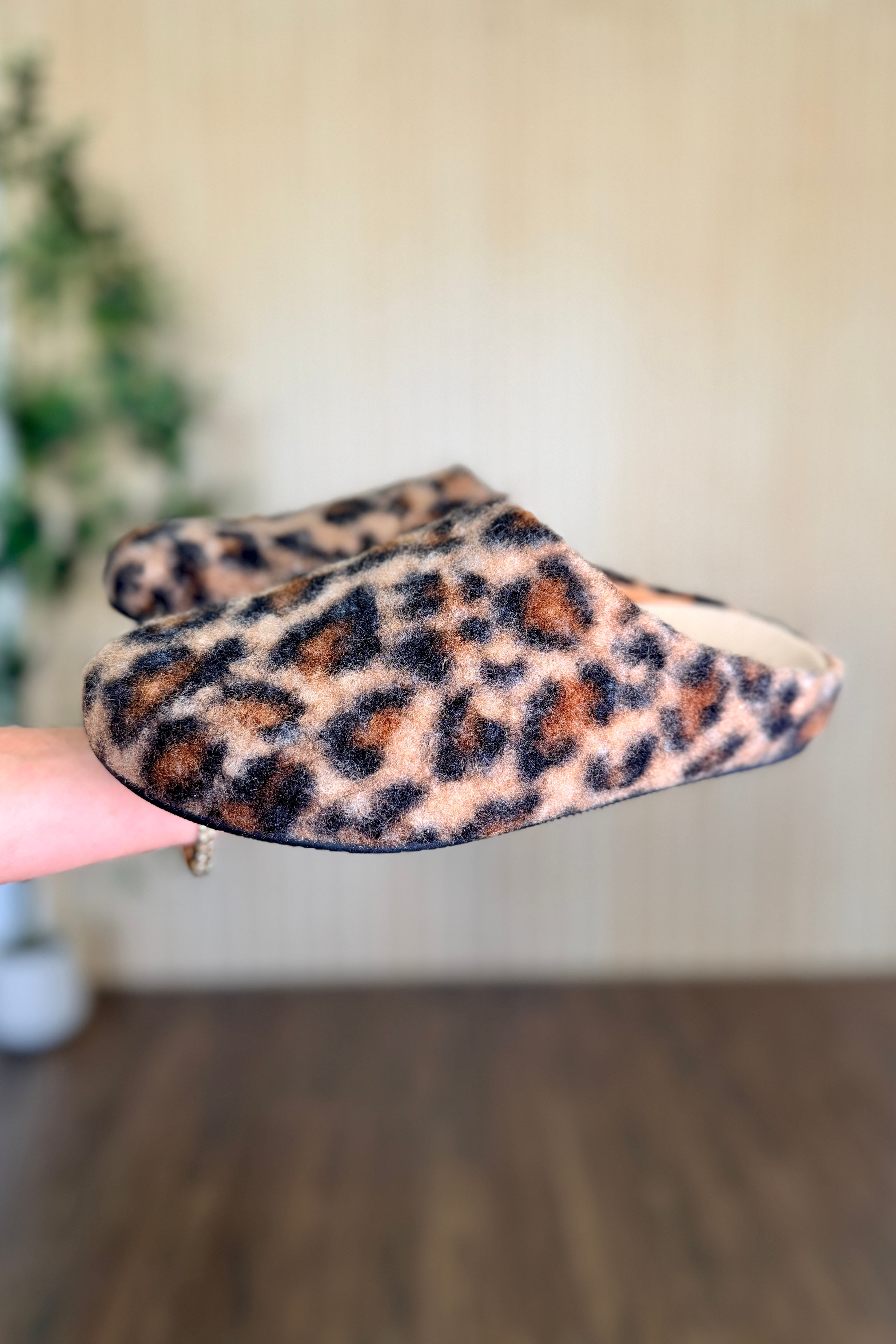 Fond Clog