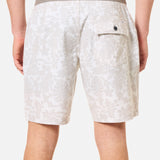 Don Hybrid Trunk