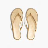 TKEES Lily Metallics - Blink