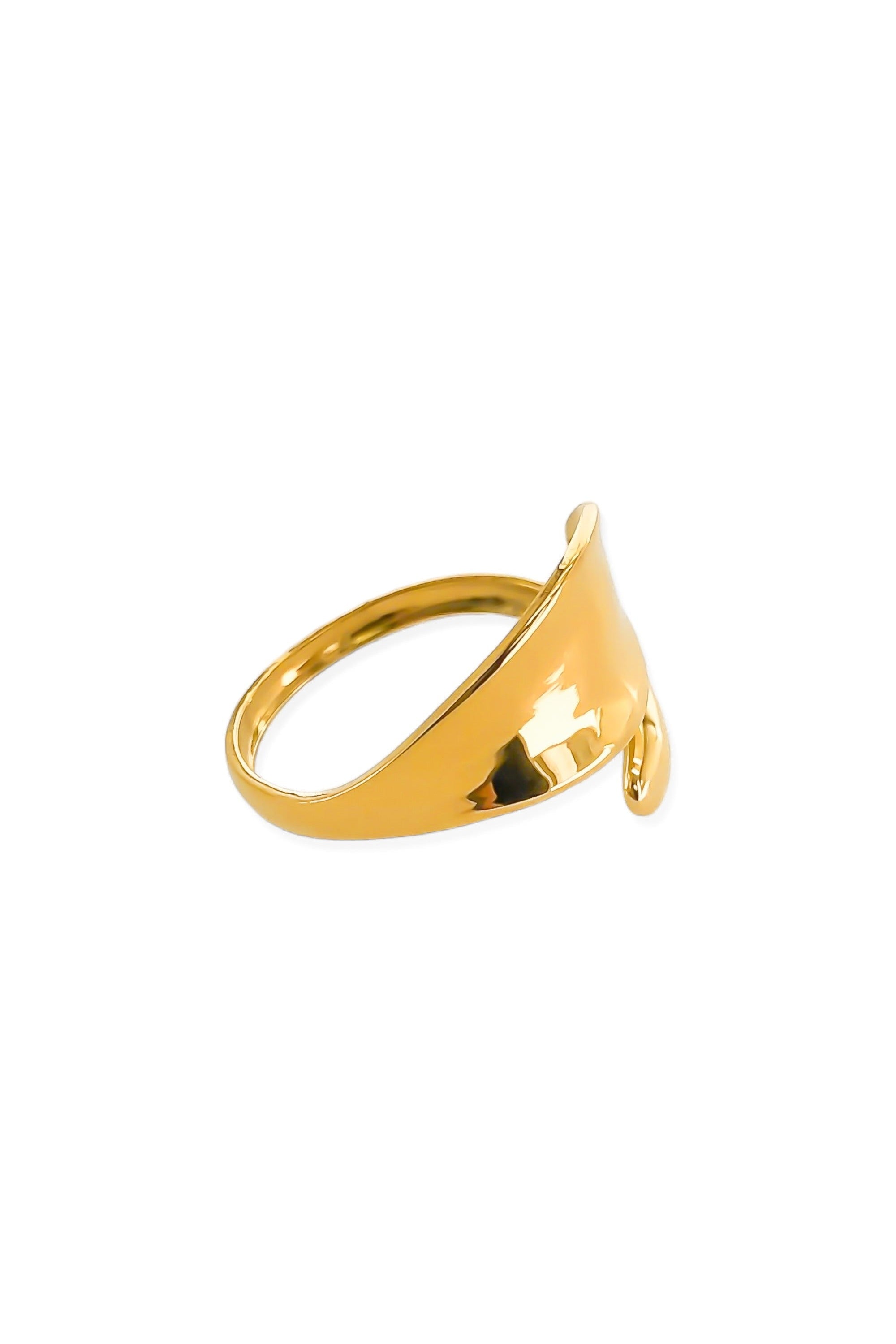 Overlapping double band ring side view