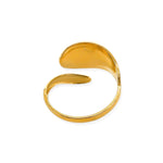 Overlapping double band ring detail
