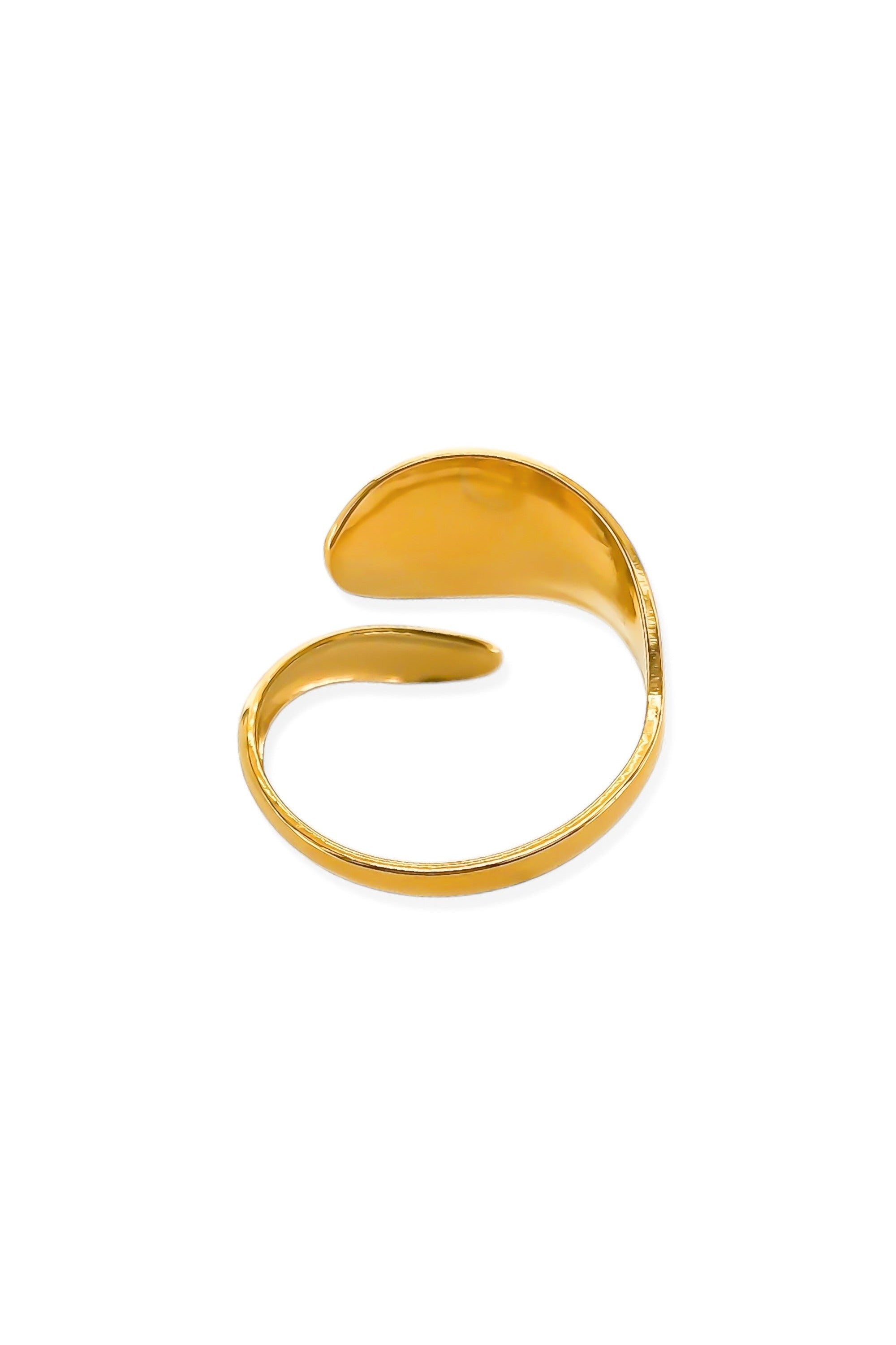 Overlapping double band ring detail