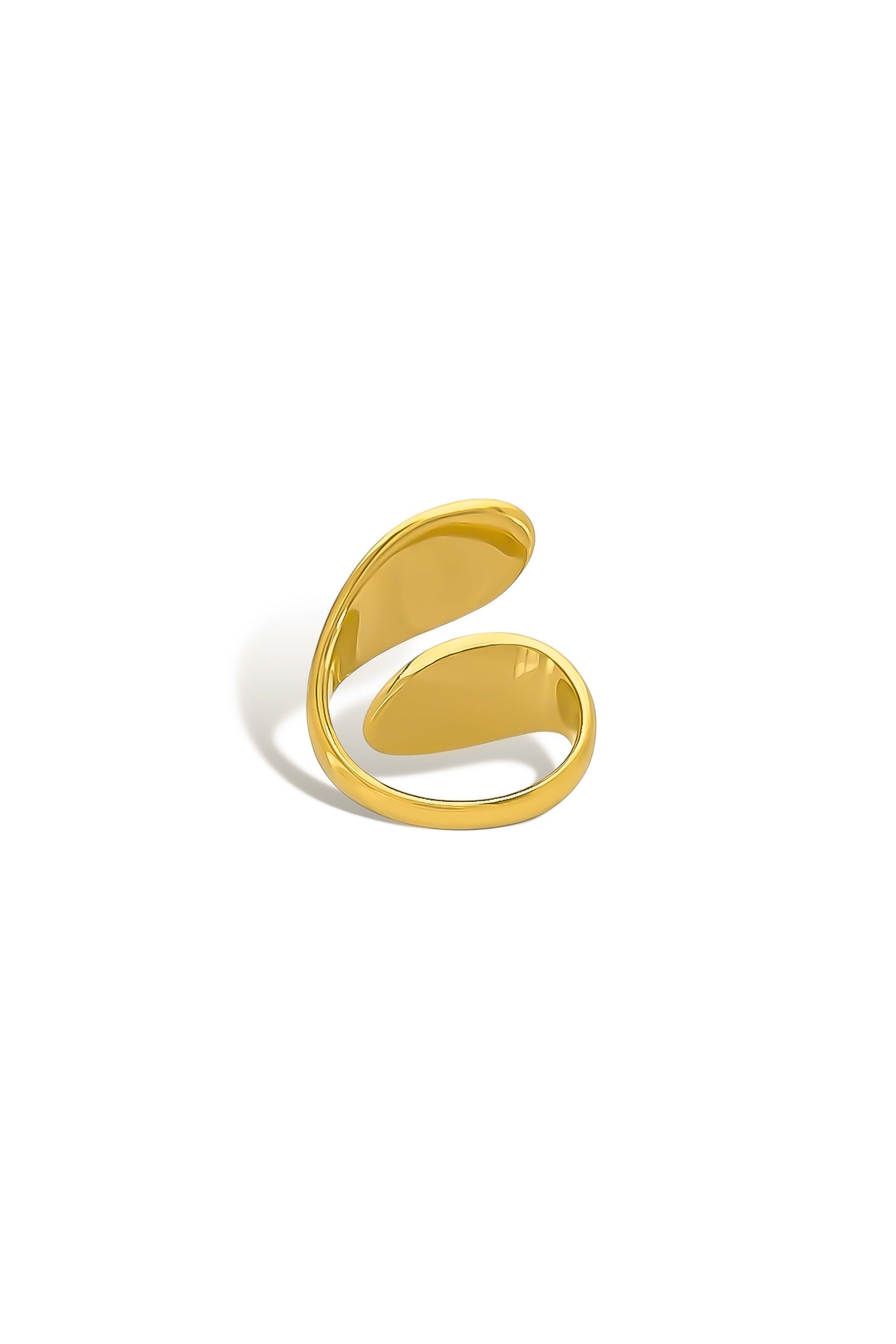 Abstract open silhouette ring detail