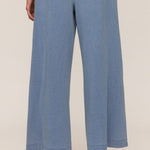Z Supply Scout Jersey Denim Pant in Santorini Indigo, back view