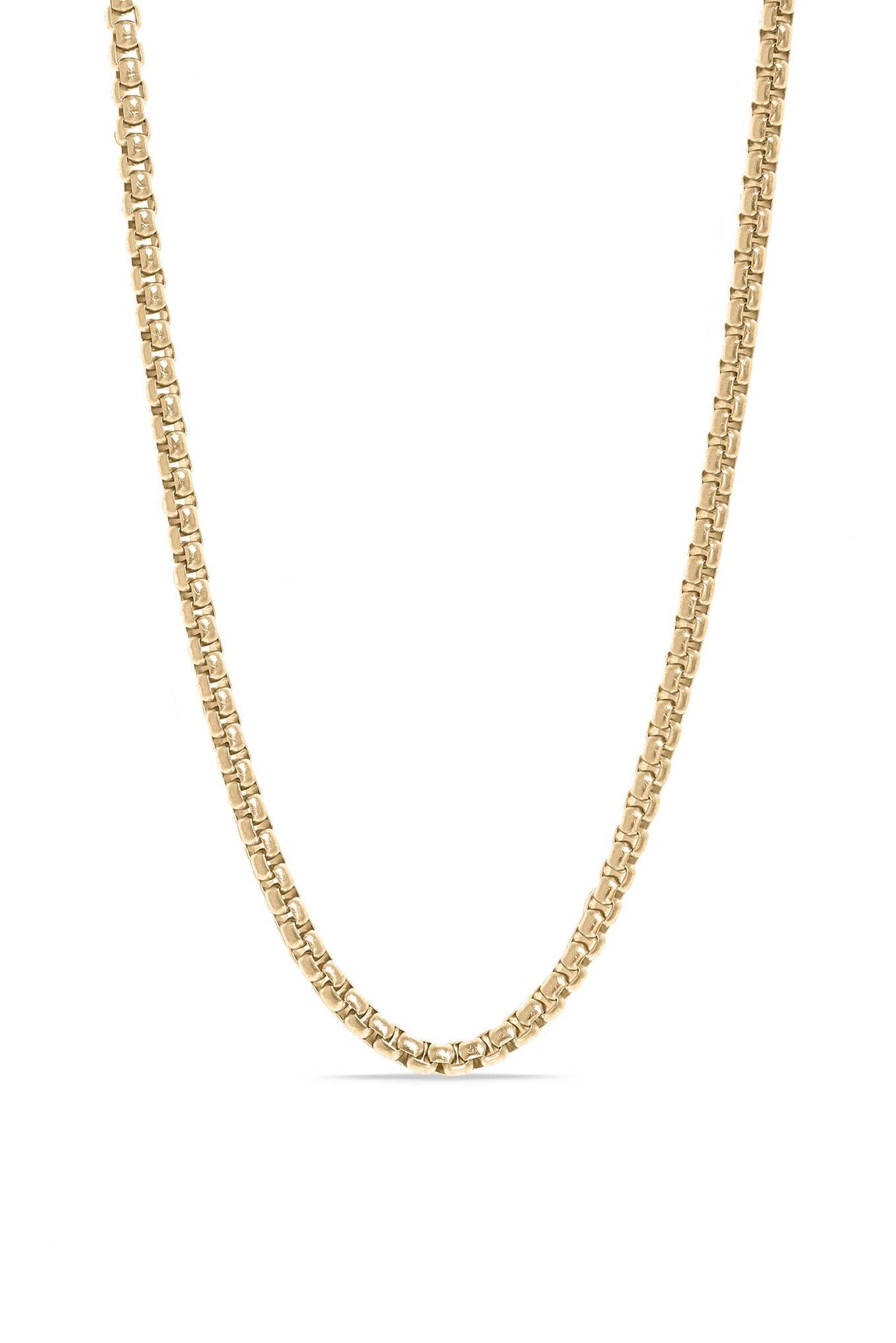 MTT Jewelry - Jewelry - Necklaces - Rory Rounded Box Chain - MTT Collective