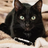 Cat Mom Stretch Bracelet - MTT Collective