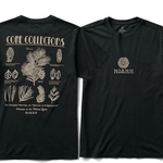 Cone Collectors Tee - MTT Collective