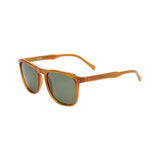 Cove Sunglasses