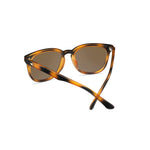 Cypress Pasa Robles Sunglasses - MTT Collective