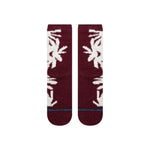 Daisies Cozy Crew - MTT Collective