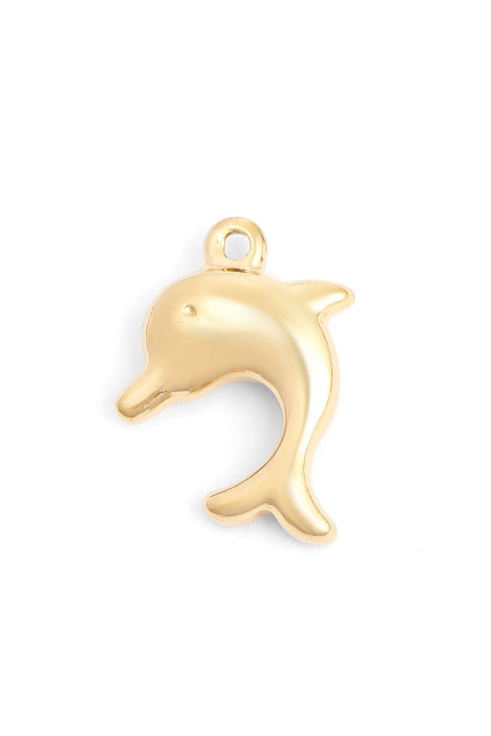 Dolphin Charm - MTT Collective