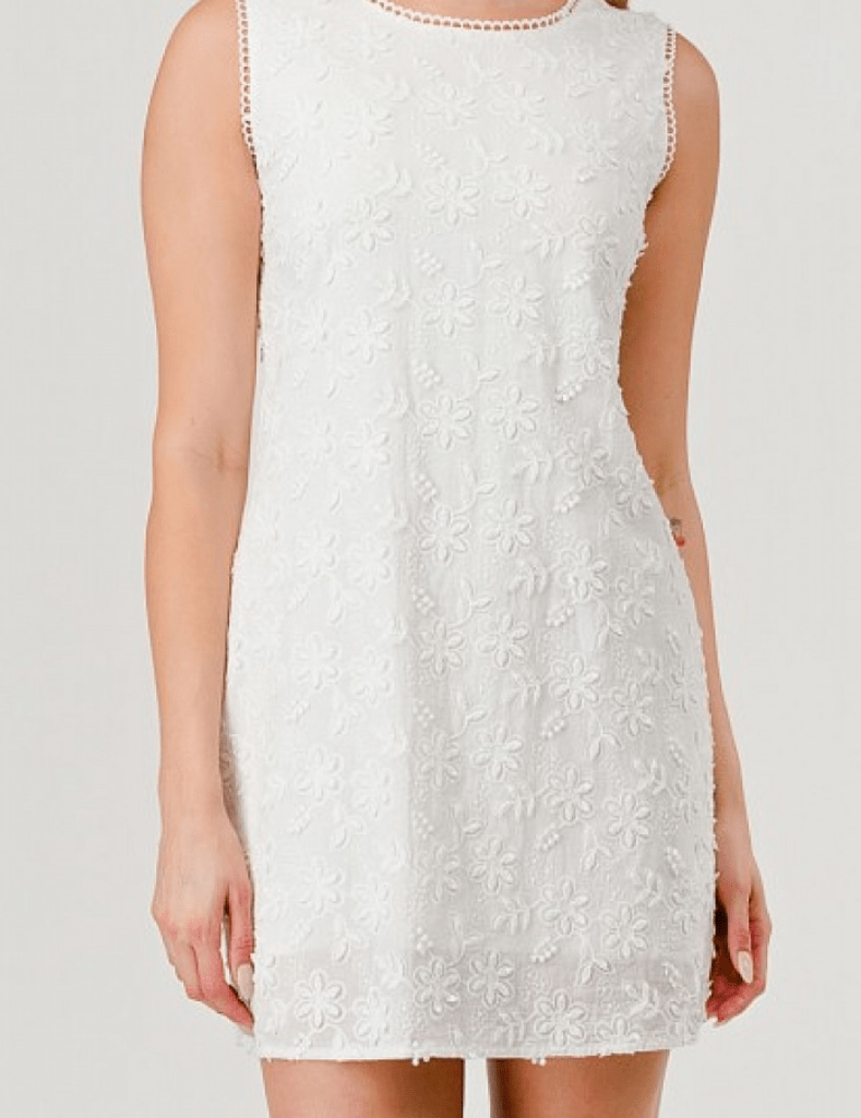 Eloise Embroidered Mini Dress - MTT Collective