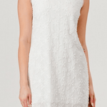 Eloise Embroidered Mini Dress - MTT Collective