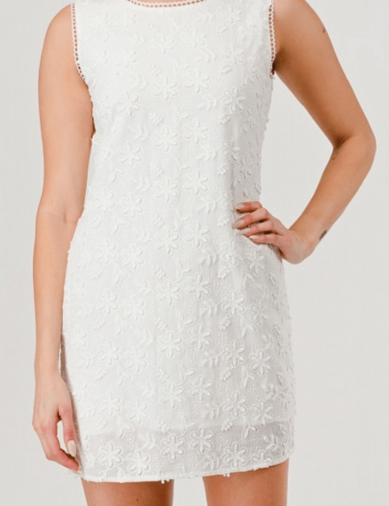 Eloise Embroidered Mini Dress - MTT Collective