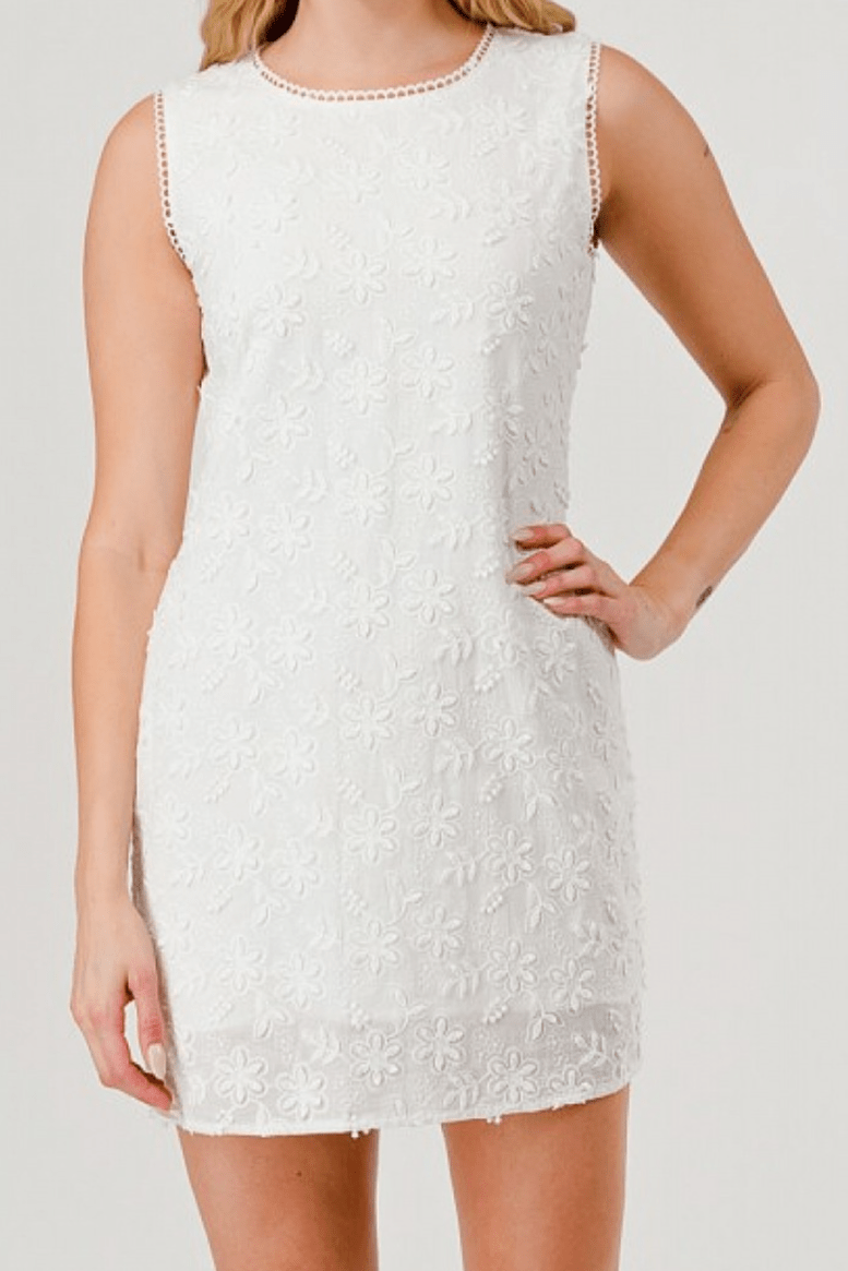 Eloise Embroidered Mini Dress - MTT Collective