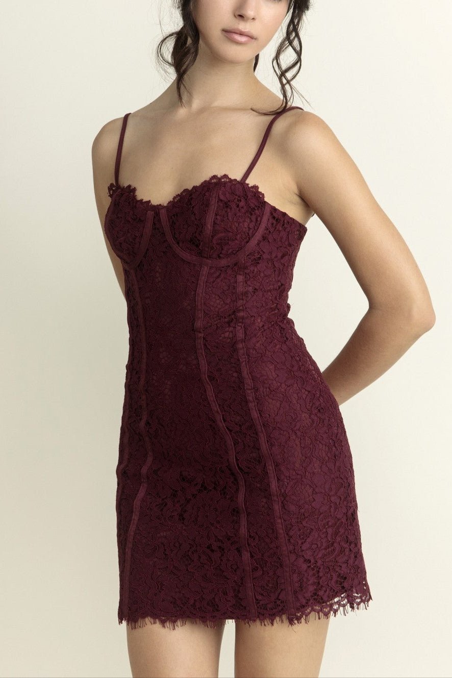 Serena Lace Bustier Mini Dress - MTT Collective