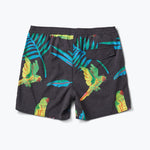 Shorey Macaw Black Boardshorts - MTT Collective
