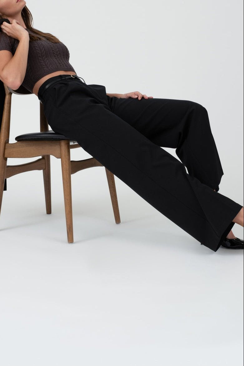 Sofia Pleated High - Waste Wide - Leg Dress Pant - MTT Collective