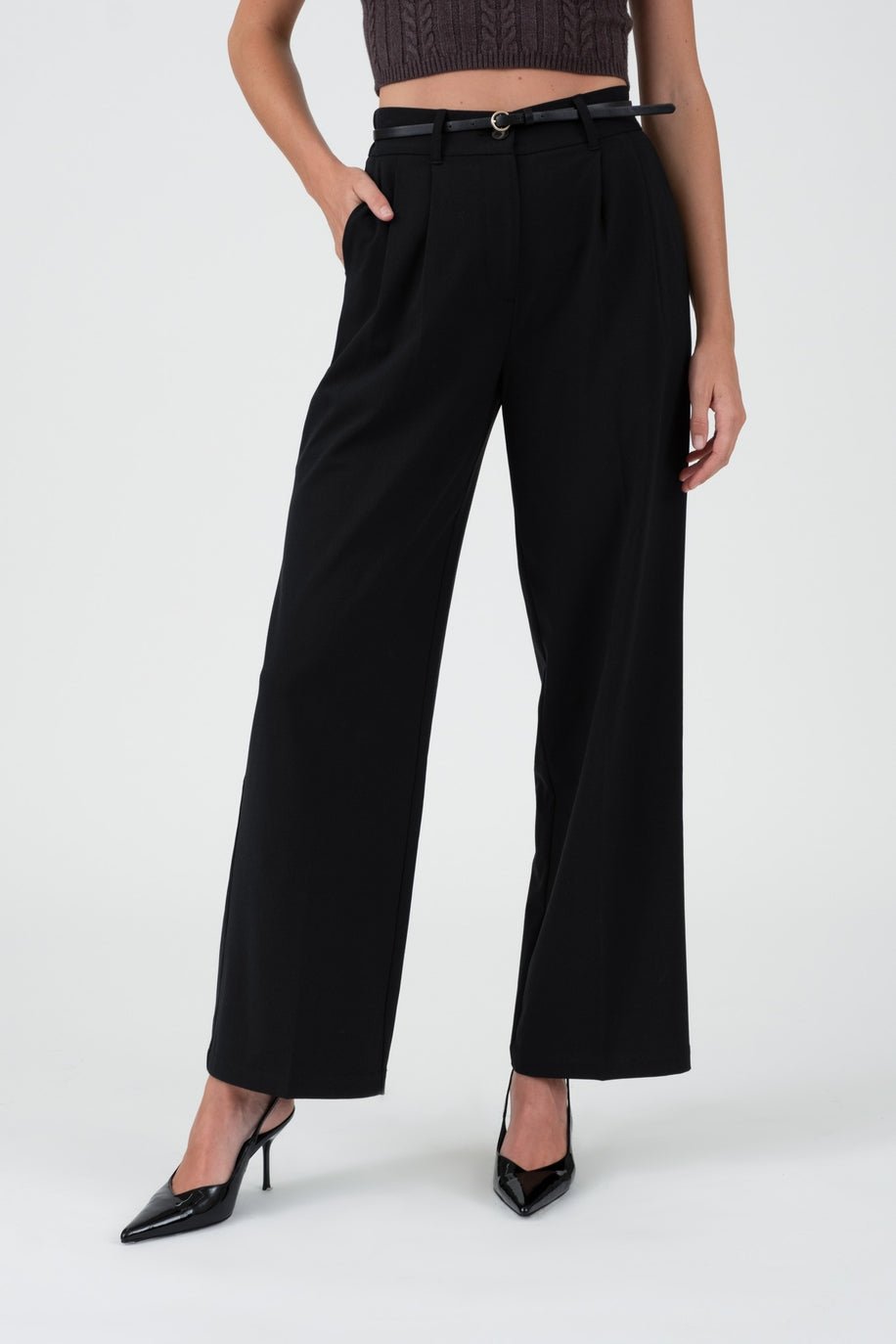 Sofia Pleated High - Waste Wide - Leg Dress Pant - MTT Collective