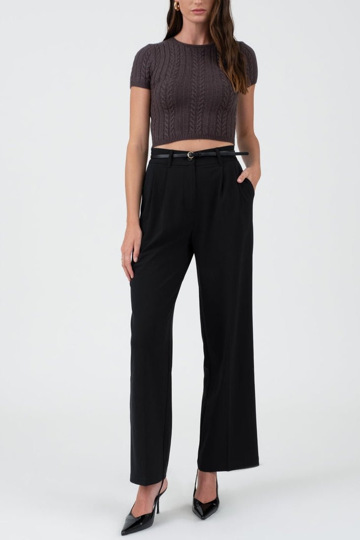 Sofia Pleated High - Waste Wide - Leg Dress Pant - MTT Collective