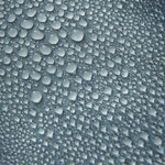 Waterman Trunk - MTT Collective