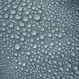 Waterman Trunk - MTT Collective