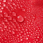 Waterman Trunk - MTT Collective