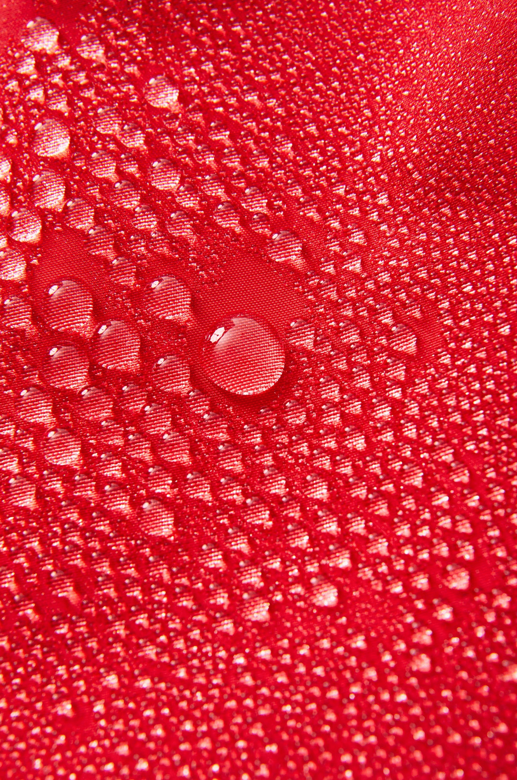 Waterman Trunk - MTT Collective