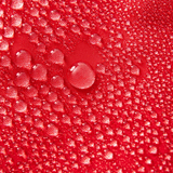 Waterman Trunk - MTT Collective