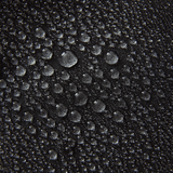 Waterman Trunk - MTT Collective