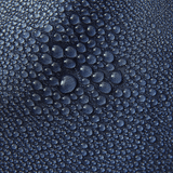 Waterman Trunk - MTT Collective