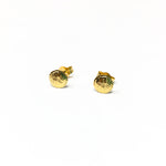 MINI SANDDOLLAR STUD EARRINGS | 14K GOLD-FILLED - MTT Collective
