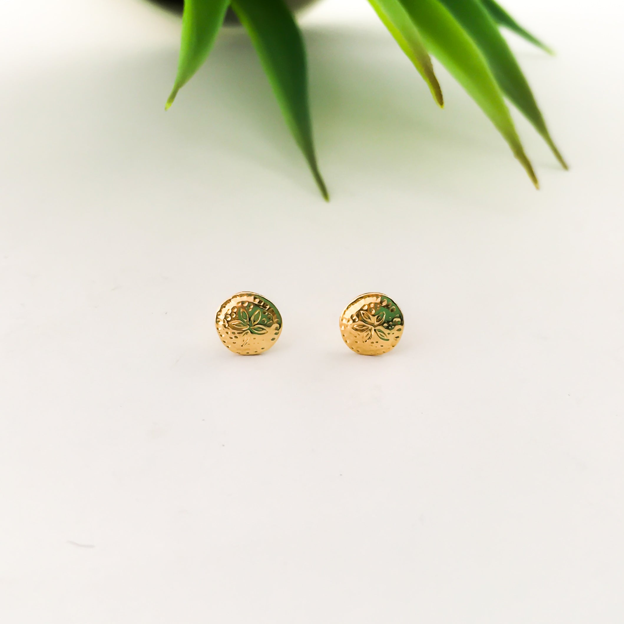 MINI SANDDOLLAR STUD EARRINGS | 14K GOLD-FILLED - MTT Collective