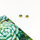 MINI SANDDOLLAR STUD EARRINGS | 14K GOLD-FILLED - MTT Collective
