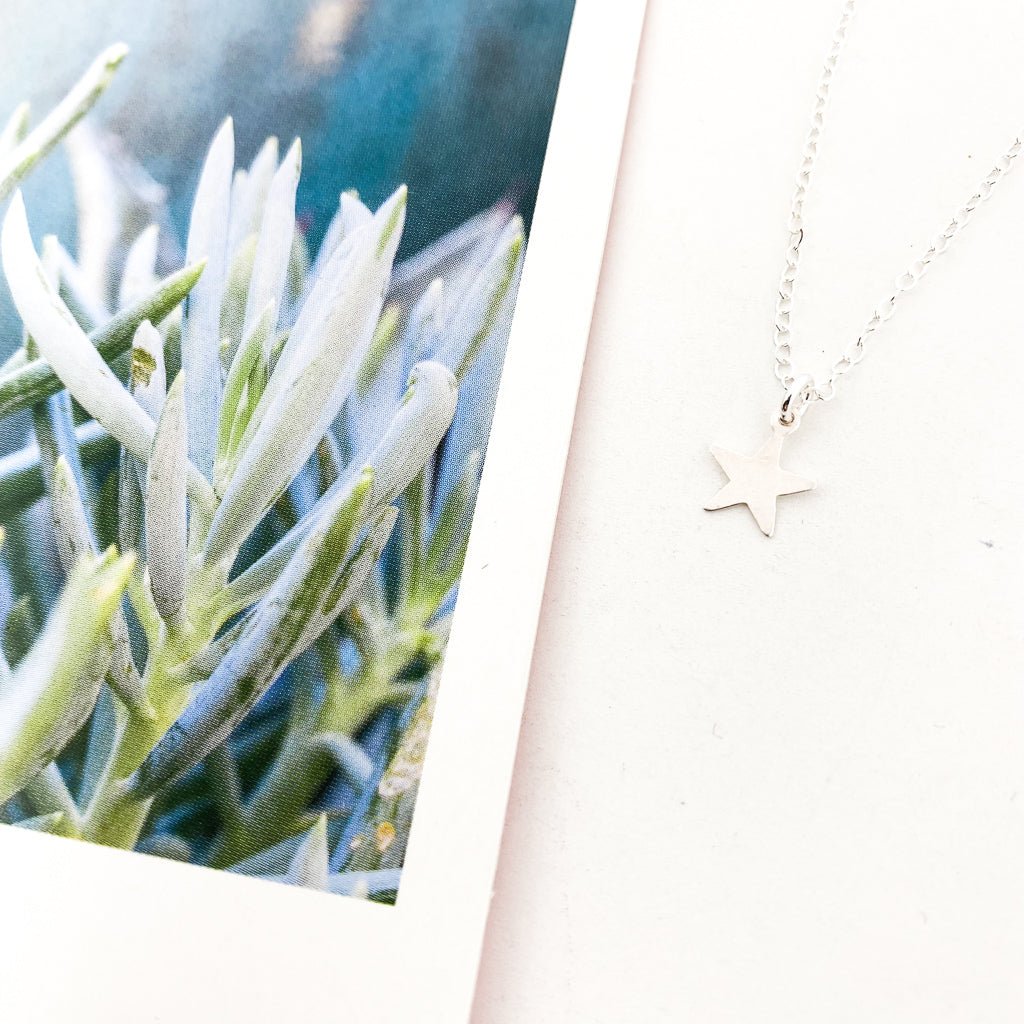 Laney Mini Star Necklace | Silver - MTT Collective