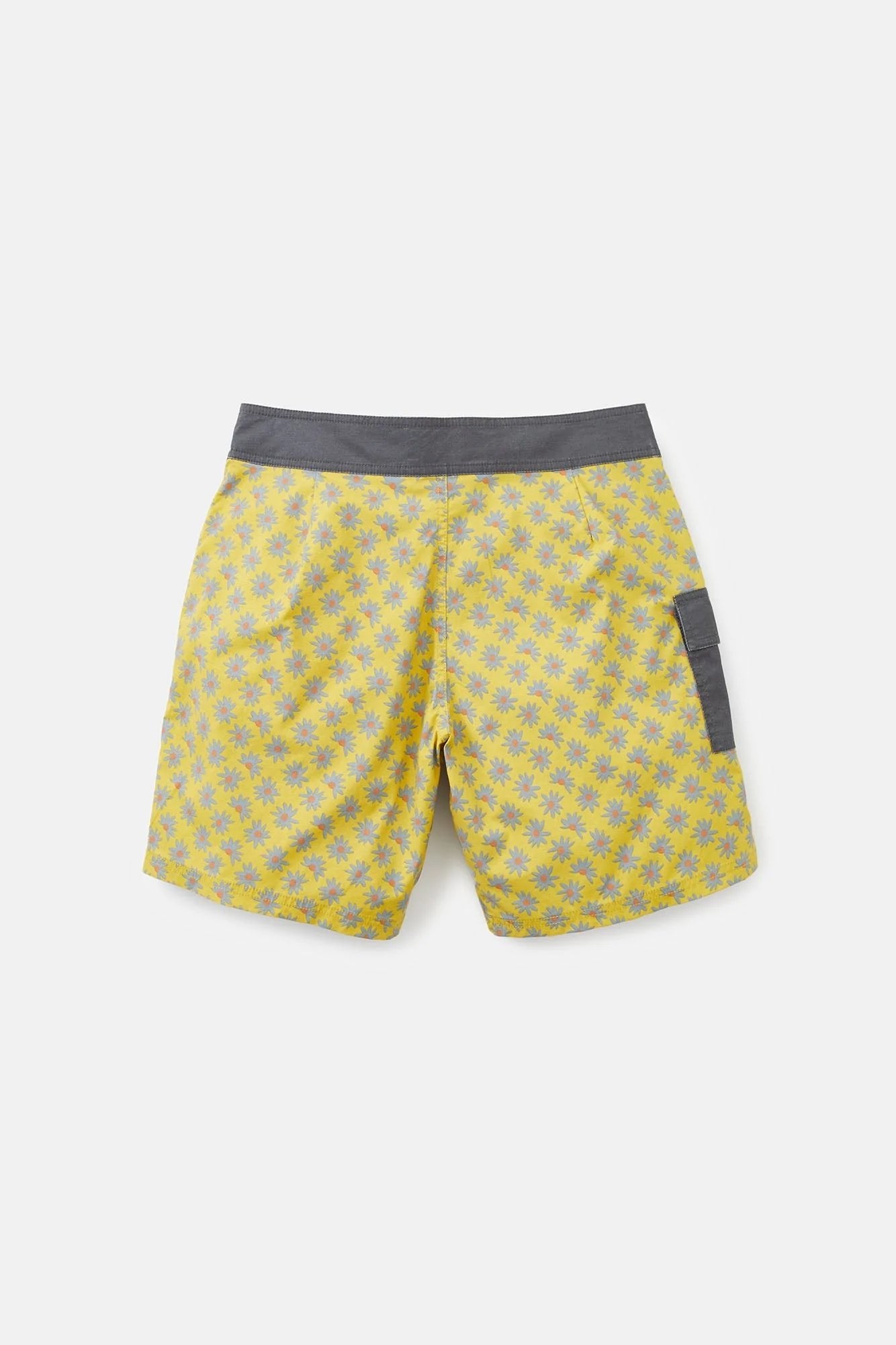 Mache Trunk - MTT Collective