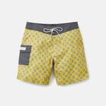 Mache Trunk - MTT Collective