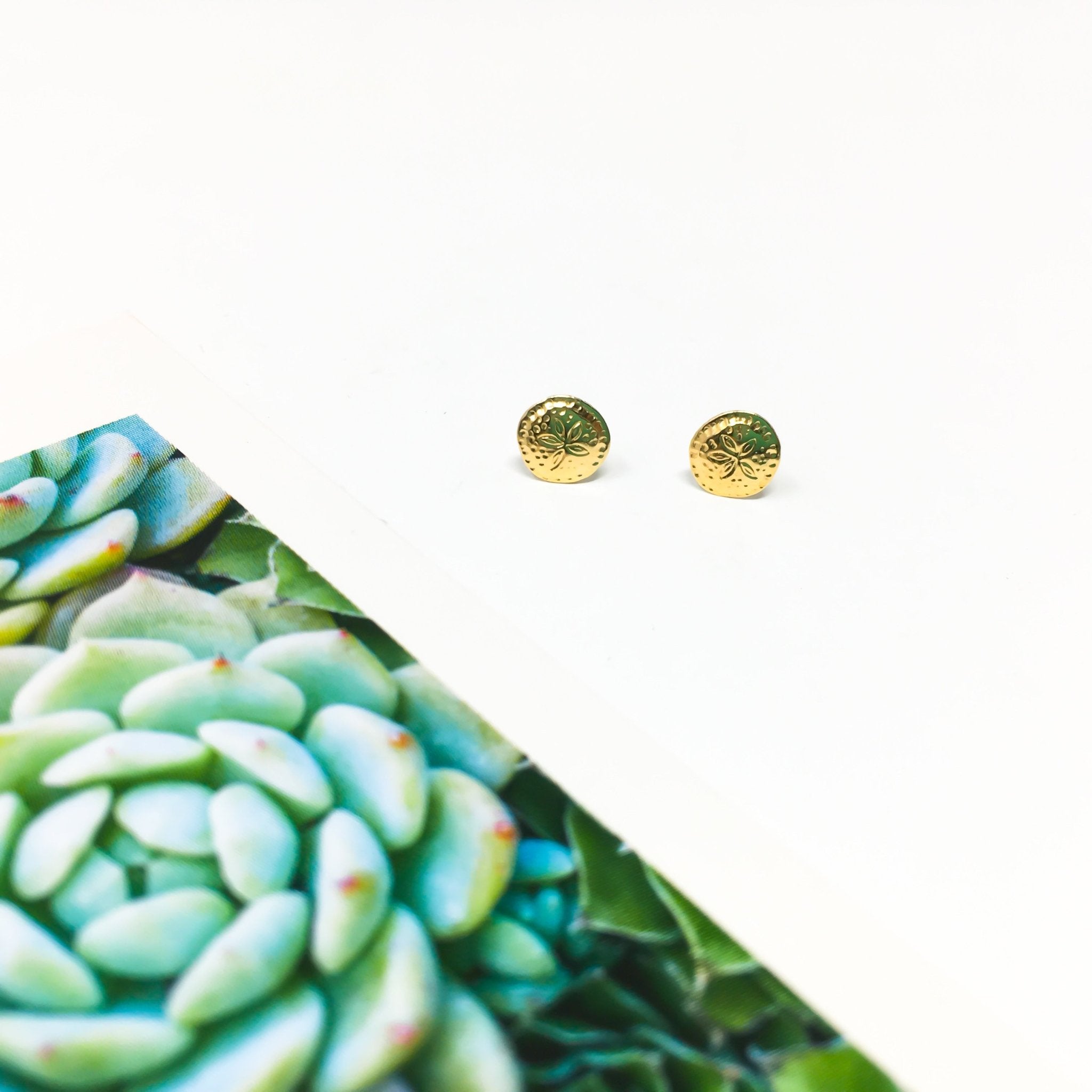 Mini Sand Dollar Stud Earrings | Gold - MTT Collective