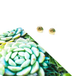 Mini Sand Dollar Stud Earrings | Gold - MTT Collective