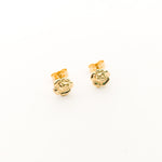 MINI ROSE STUD EARRINGS | 14K GOLD-FILLED - MTT Collective